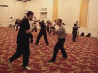 Wahnam Taijiquan