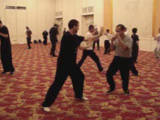 Wahnam Taijiquan