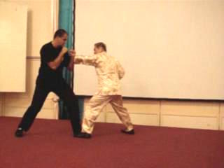 Wahnam Taijiquan