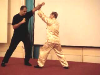 Wahnam Taijiquan