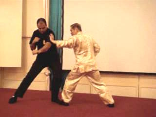 Wahnam Taijiquan