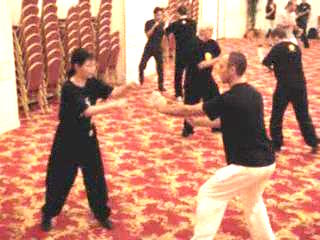 Wahnam Taijiquan