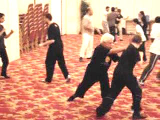 Wahnam Taijiquan