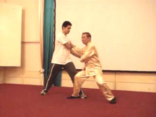 Wahnam Taijiquan