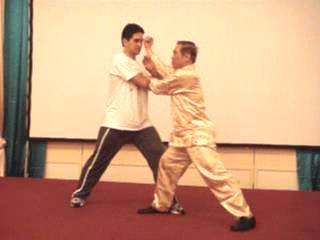 Wahnam Taijiquan