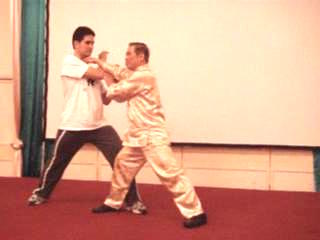 Wahnam Taijiquan