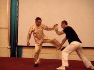 Wahnam Taijiquan