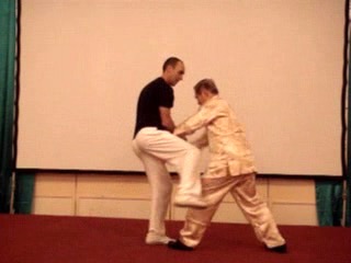 Wahnam Taijiquan