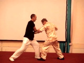 Wahnam Taijiquan