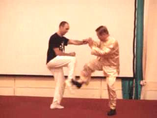 Wahnam Taijiquan