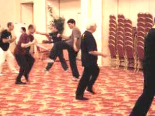 Wahnam Taijiquan