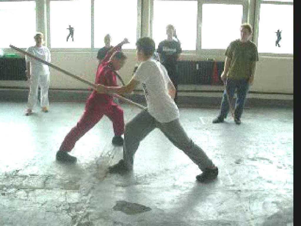 Plum Flower Sabre