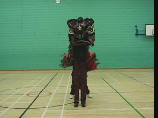 Lion Dance