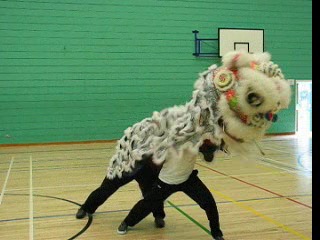 Lion Dance