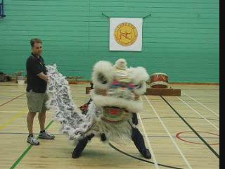 Lion Dance