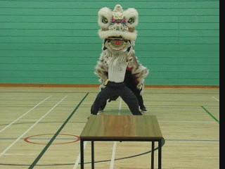 Lion Dance