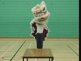 Lion Dance