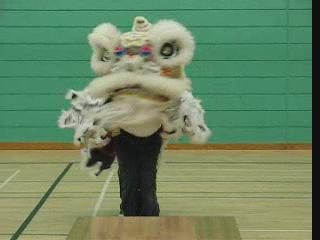 Lion Dance