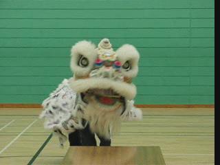 Lion Dance