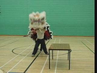 Lion Dance