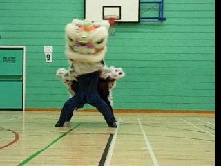 Lion Dance