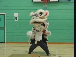 Lion Dance