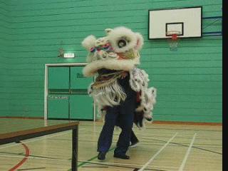 Lion Dance