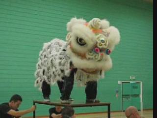 Lion Dance