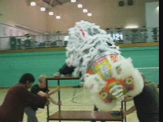 Lion Dance