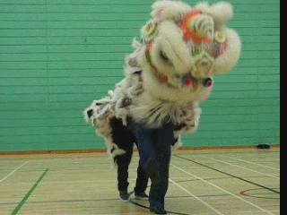 Lion Dance