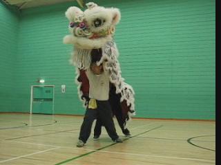 Lion Dance