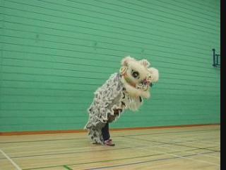 Lion Dance