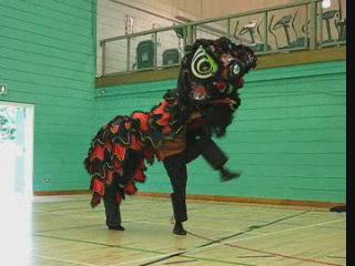 Lion Dance