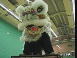 Lion Dance