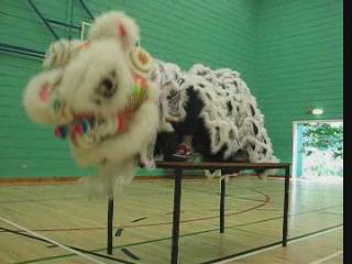 Lion Dance