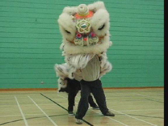 Lion Dance