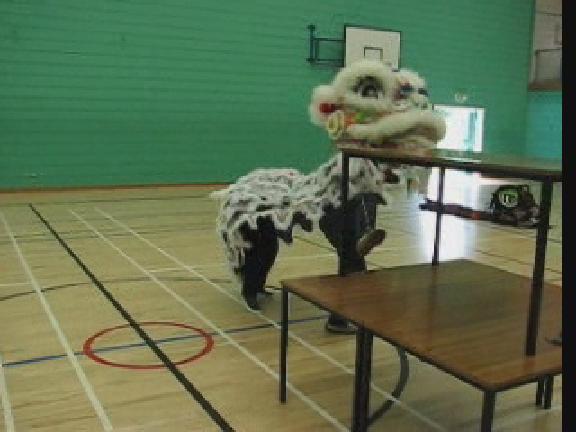 Lion Dance