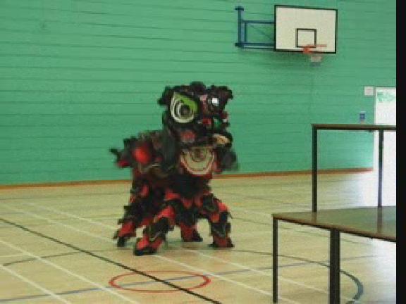 Lion Dance