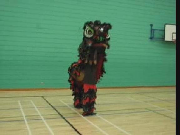 Lion Dance