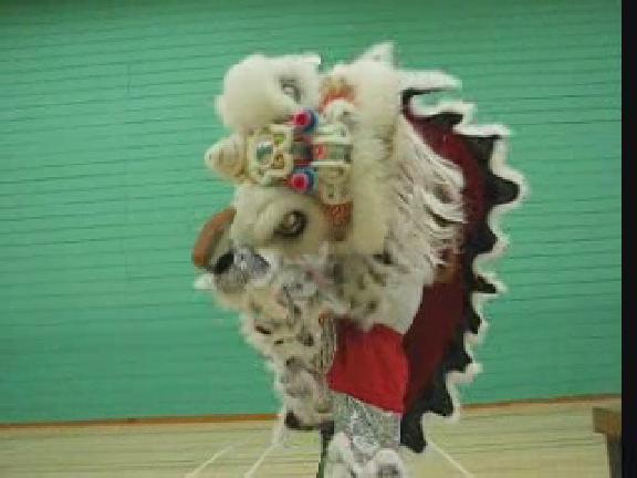 Lion Dance