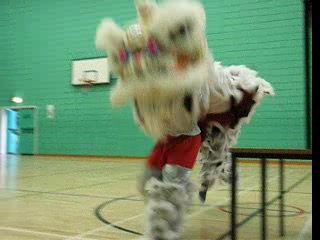 Lion Dance