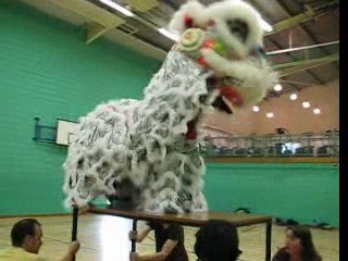 Lion Dance