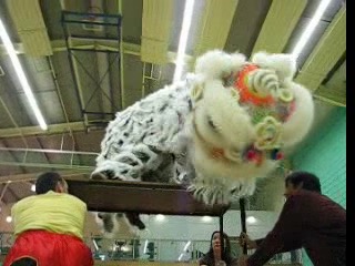 Lion Dance