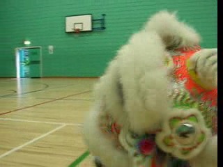 Lion Dance