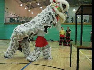 Lion Dance