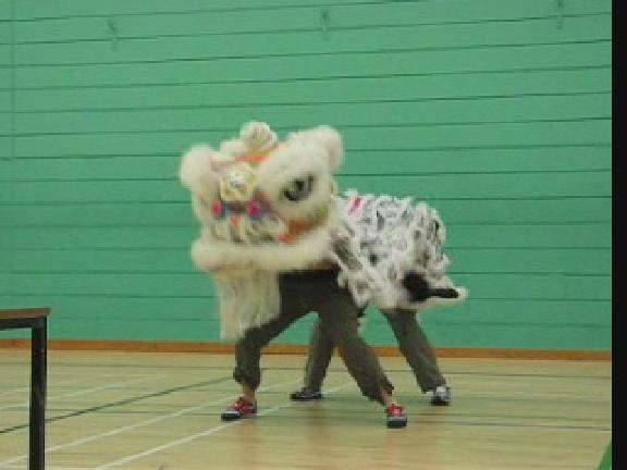 Lion Dance