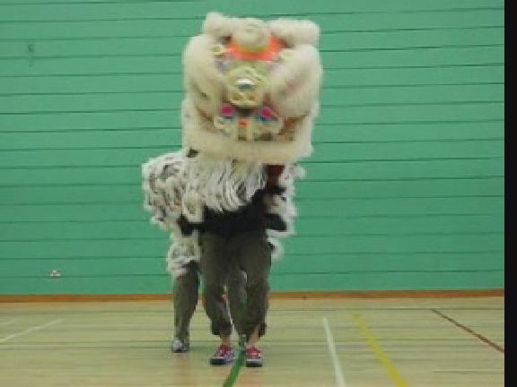 Lion Dance