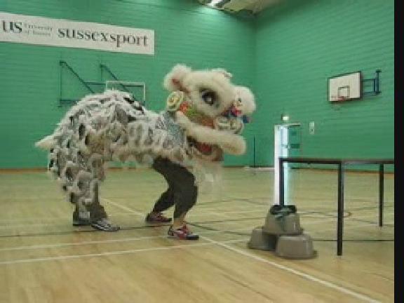 Lion Dance