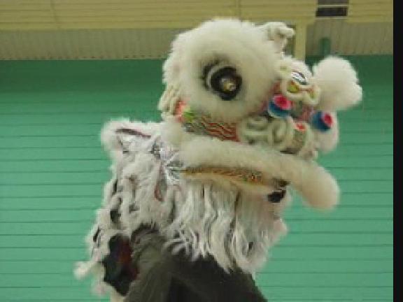 Lion Dance