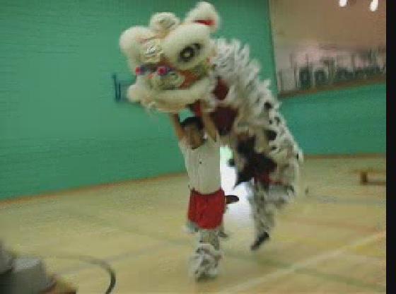 Lion Dance